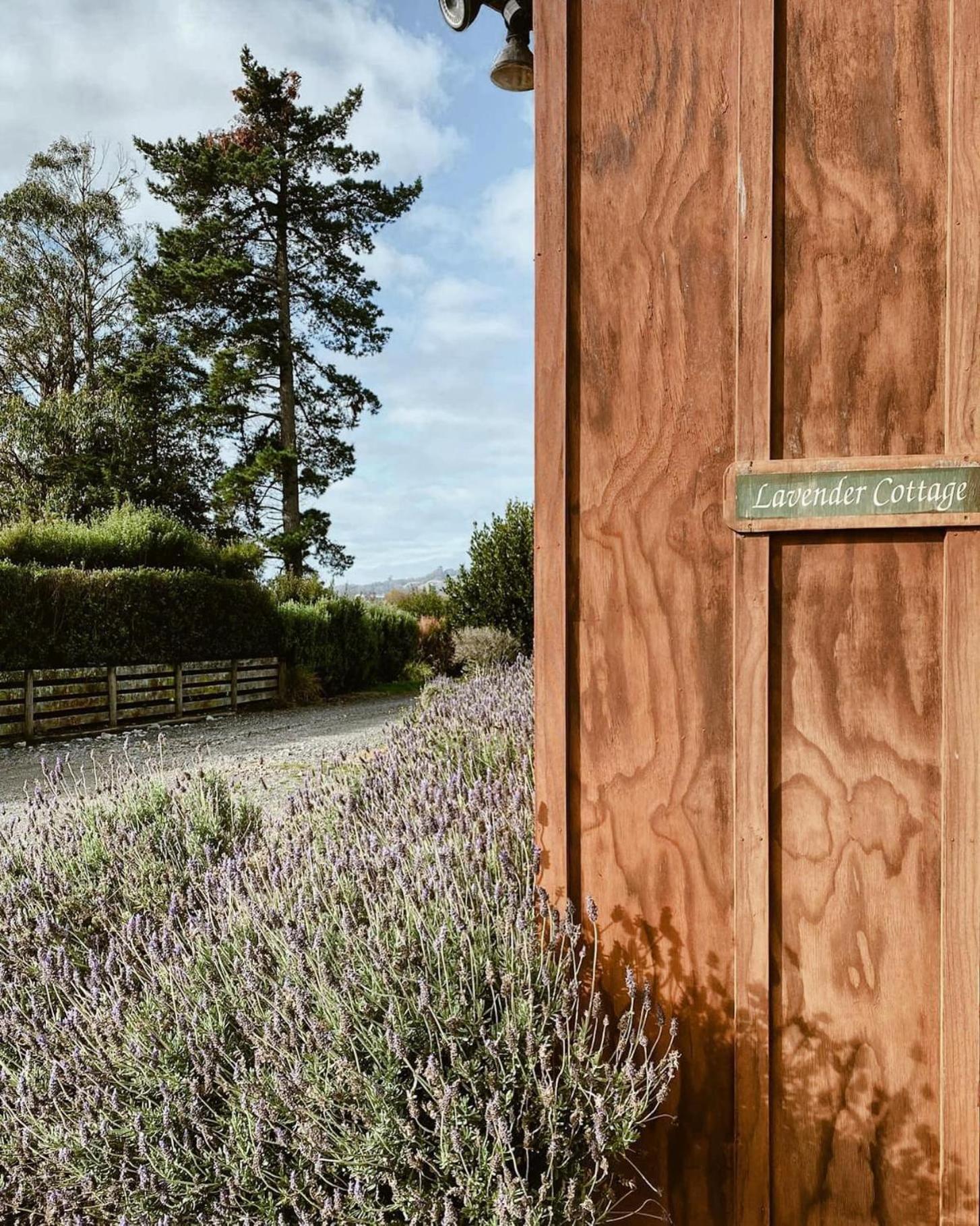 Havelock North Holiday Park Экстерьер фото